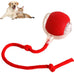 Smart Rolling Pet Ball