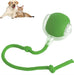 Smart Rolling Pet Ball